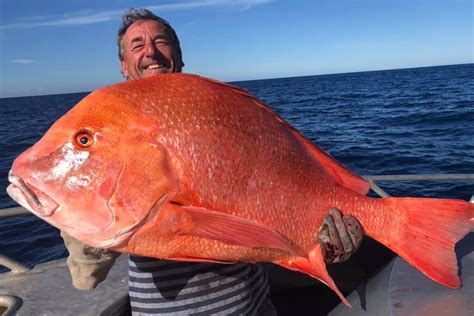 Diving into the world of the Red Fish magnic